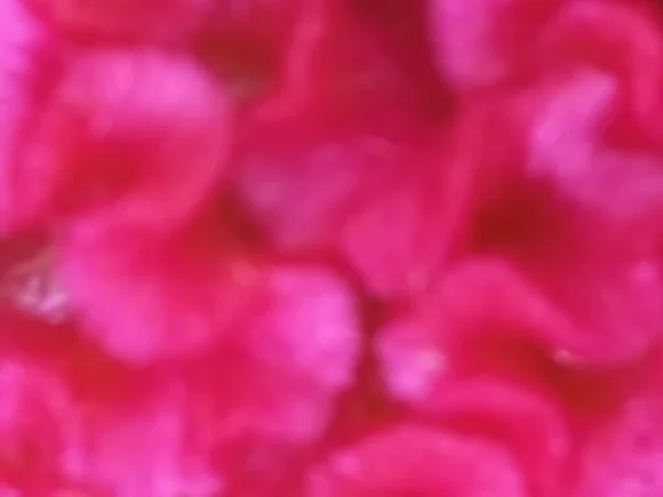 Abstract curved and blurred pink pattern background, this picture photographed from pink Cockscomb flower in close up and to be out of focus.