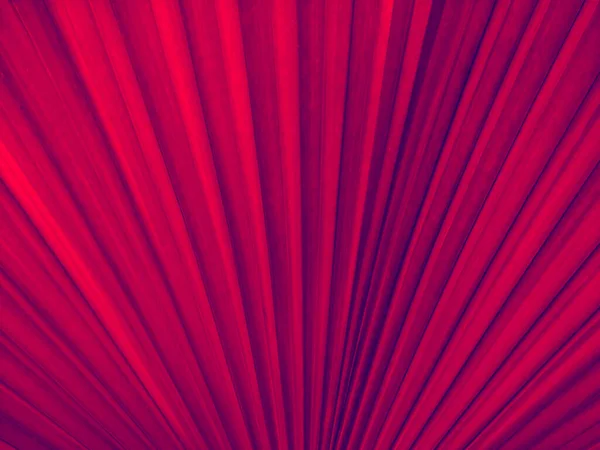 Abstract Lines Pattern Red Background — Stock Photo, Image