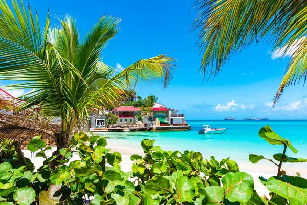 Palm Trees Tropical Beach Barths Caribbean Island — Stock Photo, Image