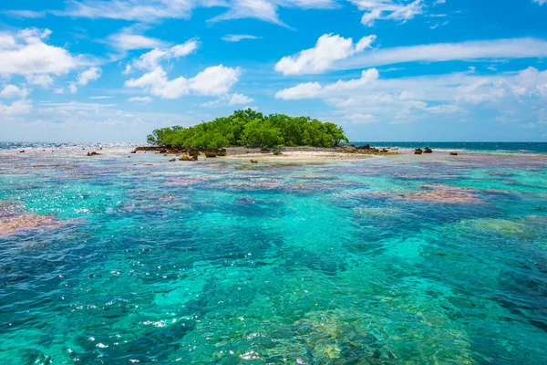 Fakarava Souostroví Tuamotu Francouzská Polynésie — Stock fotografie