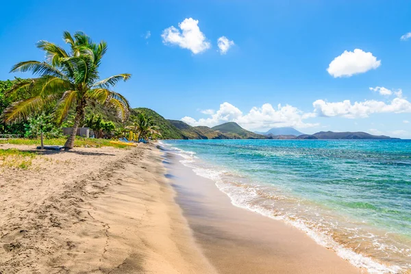Saint Kitts, Karayipler 'de palmiye ağaçları olan beyaz kumlu plaj..