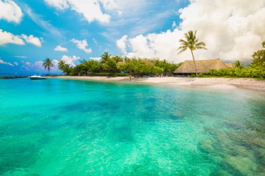 Huahine, Fransız Polinezyası. Güney Pasifik. Gölcüklü tropik tatil manzarası, beyaz kumlu plaj ve adada palmiye ağaçları.