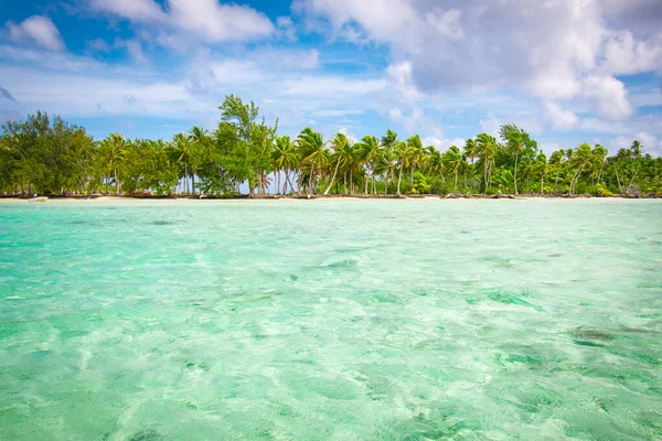 Tropiskt Paradis Sommar Semester Landskap Fakarava — Stockfoto