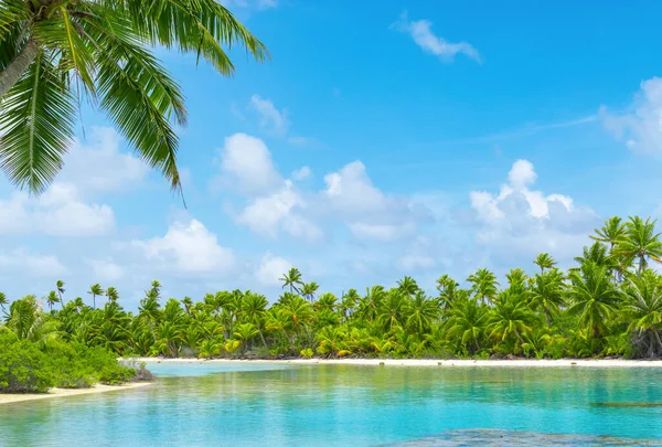Tropical Lagoon Scenery Coconut Palm Trees Blue Sky Exotic Summer — Stock Photo, Image