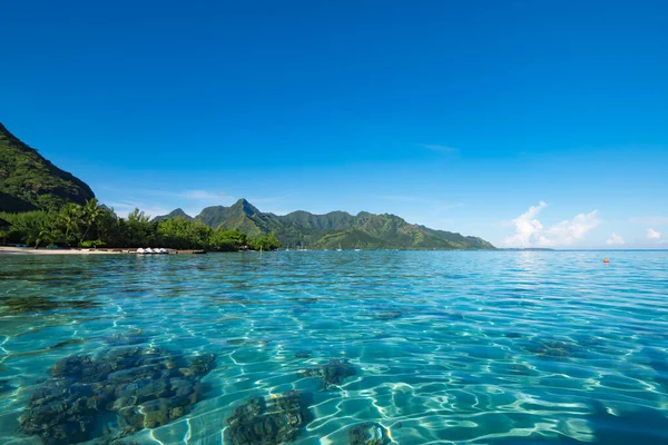 Moorea Havsutsikt Med Grunt Lagunvatten Tropiskt Semestermål — Stockfoto