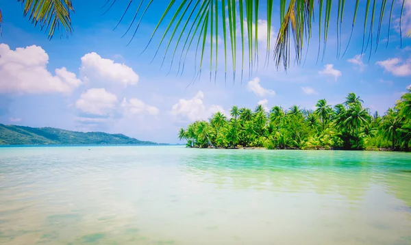 Paraíso Verão Com Águas Rasas Palmeiras Vista Idílica Ilha Bora — Fotografia de Stock