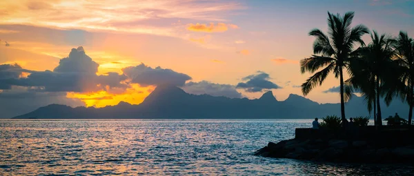 Gün batımında deniz, palmiye ağaçları ve dağ manzarası. Tropik tatil geçmişi.