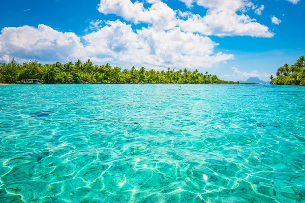 Tropisch Paradijs Zeegezicht Met Palmbomen Eiland Tahaa Frans Polynesië — Stockfoto