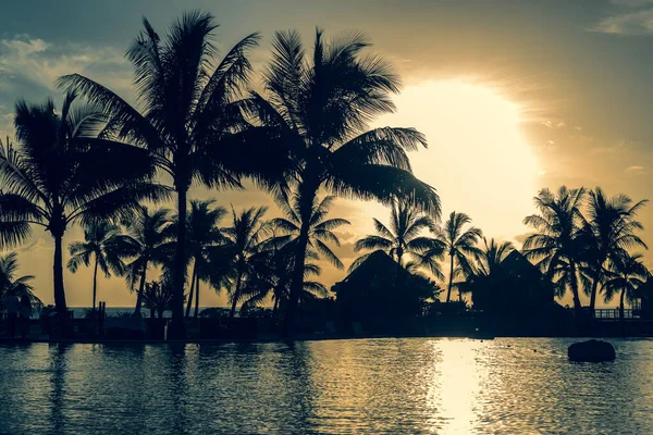 Tropické Palmy Silueta Při Západu Slunce Tahiti — Stock fotografie