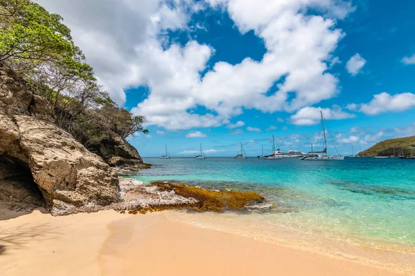 Plage Princess Margaret Bequia Vincent Les Grenadines — Photo