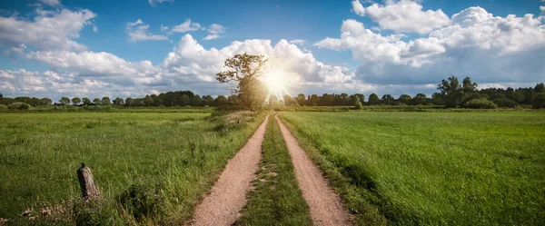 Panoramisch Uitzicht Met Een Landweg Door Het Prachtige Natuurlandschap Van — Stockfoto