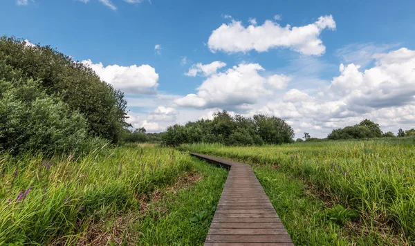 Houten Wandelweg Door Het Prachtige Natuurgebied Van Antwerpse Kempen Viersel — Stockfoto