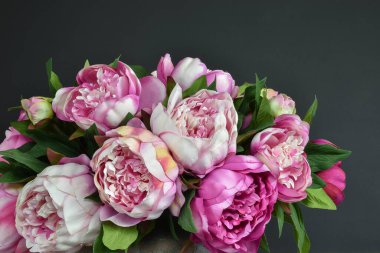 Pembe şakayık çiçekleri. Koyu arkaplan.