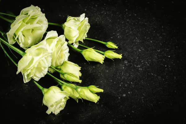 Lisianthus Eustoma Białe Kwiaty Ciemnym Tle Tekstury — Zdjęcie stockowe