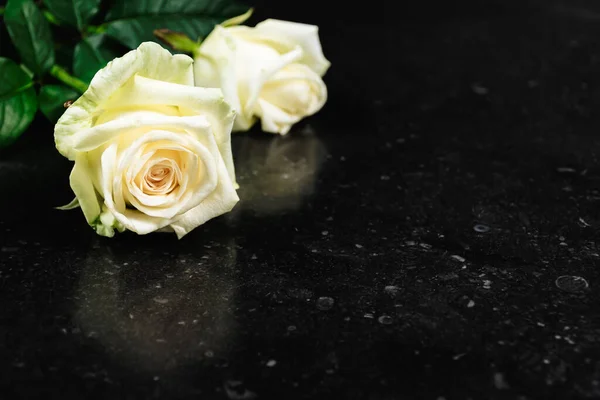 Wyrazy Współczucia Lub Kartka Kondolencjami Miejscem Tekst Białe Świeże Róże — Zdjęcie stockowe