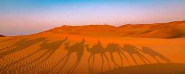 Gün doğumunda çöldeki deve kervanı silueti, Abu Dabi, BAE