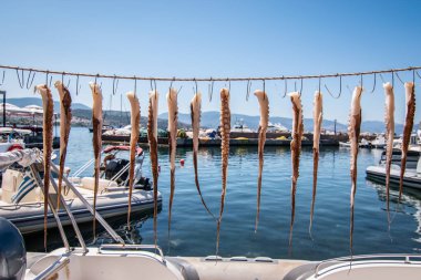Molyvos Limanı, Lezbiyen Adası, Yunanistan 'da güneşte kabloda kuruyan taze ahtapot dokunaçları.