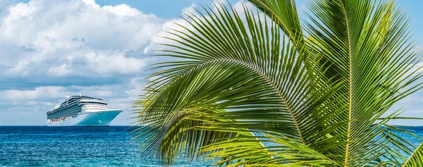 Tropical Palm Tree Mexican Island Cruise Ship Background Selective Focus — Stock Photo, Image