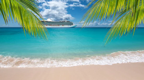 热带海滩 有棕榈树 背景中豪华游轮侧视图 — 图库照片