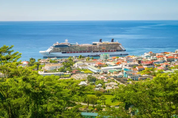 Roseau Dominique Bateau Croisière Dans Port — Photo