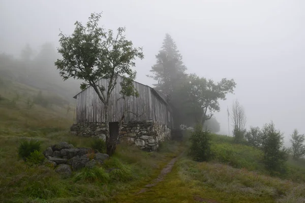 Foggy Landscape Mountain Farm Eidfjord Noorwegen — Stockfoto