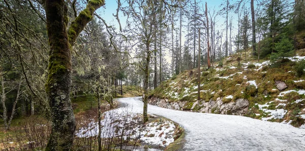 Estrada Nevada Floresta Monte Floyen Bergen Noruega Escandinávia — Fotografia de Stock