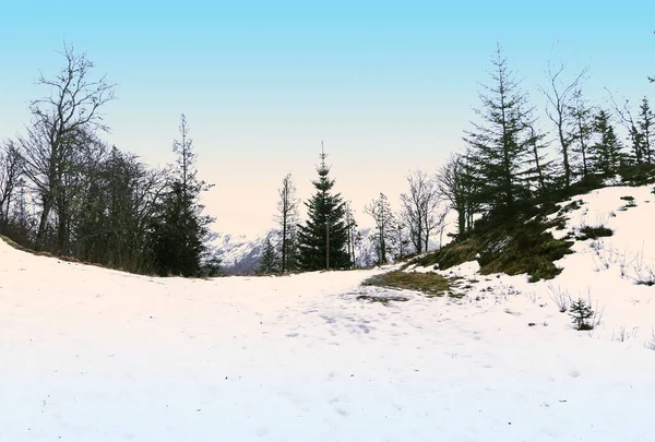 Silhueta Pinheiros Uma Montanha Nevada Paisagem Inverno Com Nascer Sol — Fotografia de Stock