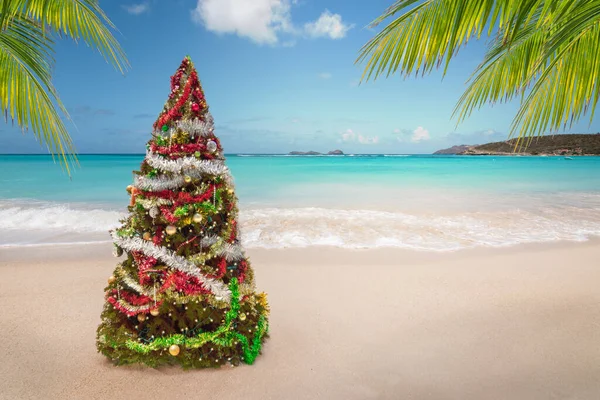 Christmas tree on the beach. Tropical summer holidays.