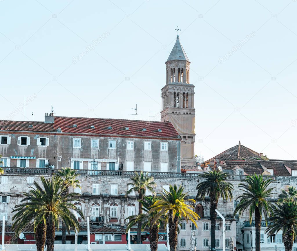 Riviera of the town of Split, Croatia. Green beautiful palm trees on the shore. Old belltower of saint dominus peeking above the old city buildings.Tower covered with scaffolding during restauration