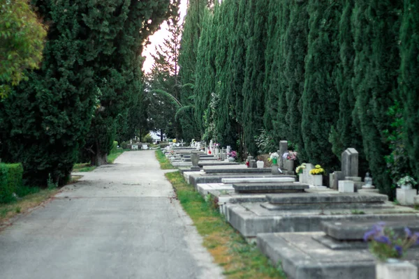Veřejný Hřbitov Rozštěpený Chorvatska Staré Kamenné Šedé Náhrobky Lemované Krásnými — Stock fotografie
