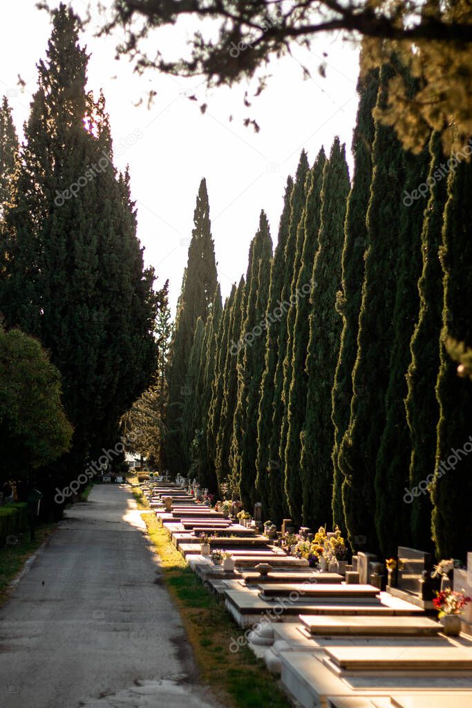 Public graveyard in split,croatia. Old stone grey gravestones lined up with beautiful green trees behind them