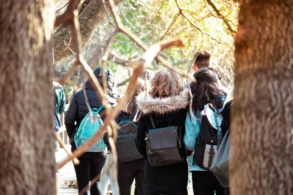 Kış kıyafetleri içinde bir grup gezgin Hırvatistan 'da milli park krka' sında yürüyor. İki ağaç arasında çerçevelenmiş, turist grubu popüler hedef üzerinde