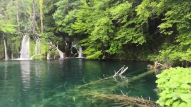 Plitvice gölündeki küçük, sakin bir şelalenin hareketli görüntüsü Hırvat doğal parkına ait. Sıcak bir yaz gününde yeşil bir manzara parkın açılışından sonra