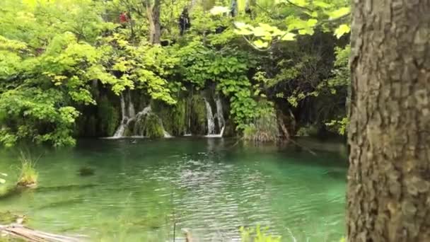 Panning Rörelse Visar Liten Vacker Lugn Vattenfall Plitvicesjöarna Croatia Naturpark — Stockvideo