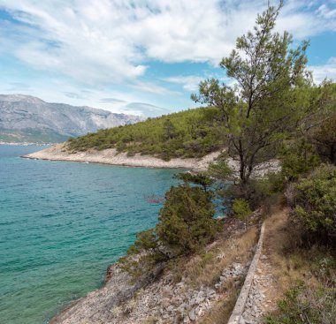 Hırvatistan 'ın Brac adasındaki gizli körfez plajı. Küçük cenneti çevreleyen orman ağaçlarıyla kayalık bir sahil. Yugoslav lider Tito 'ya ait gizli sığınağın önünde.