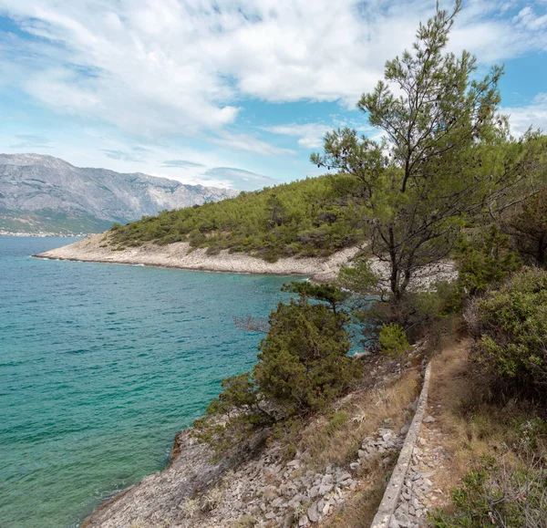 Hırvatistan 'ın Brac adasındaki gizli körfez plajı. Küçük cenneti çevreleyen orman ağaçlarıyla kayalık bir sahil. Yugoslav lider Tito 'ya ait gizli sığınağın önünde.