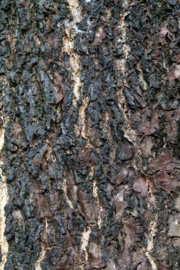 Jakarta / Endonezya - 20 Temmuz 2020 Kargo gemisinin atmosferi kargoyu indiriyor ve bölgeden gönderiyordu.