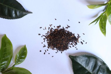 Taze yeşil çay yapraklarıyla süslenmiş beyaz arka plan ve ortasında da çay tozu var.