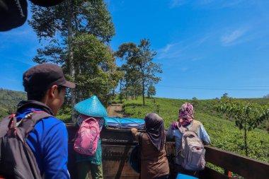 Cianjur / Endonezya - 1 Ağustos 2020. Eve gitmek üzere olan çay toplayıcıları kamyon kullanıyorlardı ve kamyonun arkasında duruyorlardı..