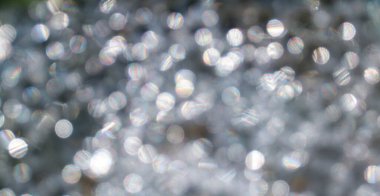 Sabah çiğ damlalarının arkaplan bulanıklığı