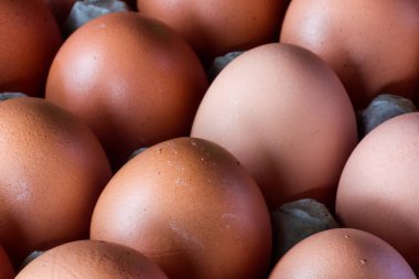 Kahverengi derili tavuk yumurtaları düzgün düzenlenmiş.