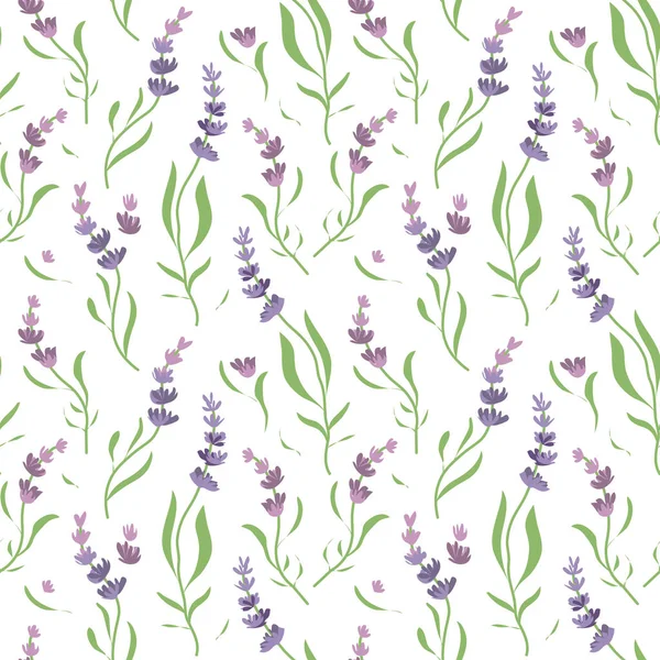 Muster Florale Hexenblumen Aus Lavendel — Stockvektor