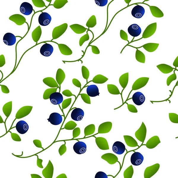 Muster Florale Hexe Blueberries Vector Illustration — Stockvektor