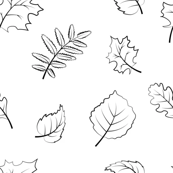 Musterherbst Hintergrund Hexenblätter Linienstil Vektorillustration — Stockvektor