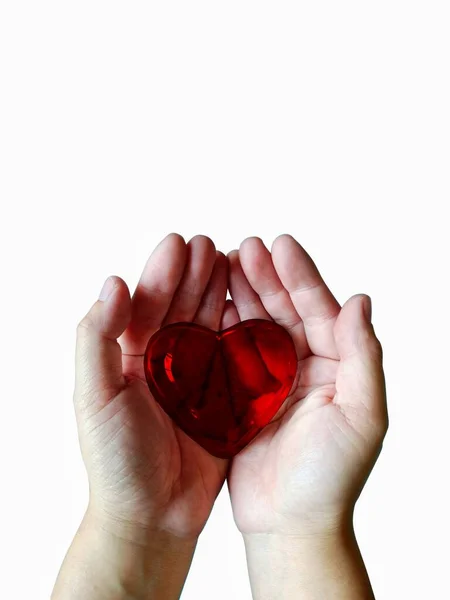 Ręce Trzymają Krystalicznie Czerwone Serce Odizolowane Białym Tle — Zdjęcie stockowe
