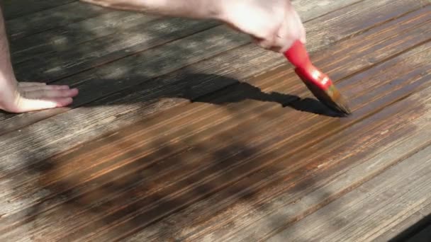 Een man houdt een verfkwast in zijn hand en schildert de vloer. Close-up. — Stockvideo
