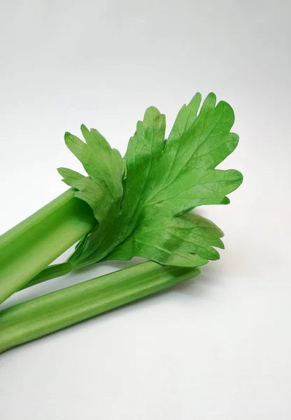 Celer Tyčinka List Izolovaném Bílém Pozadí — Stock fotografie