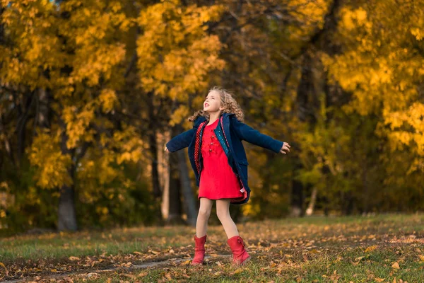 Herfst meisje gelukkig met kleurrijke herfst bladeren die vallen — Stockfoto