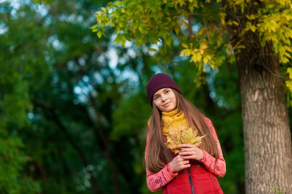 Hermosa chica en colorido otoño al aire libre —  Fotos de Stock