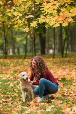 Köpeğini sonbahar Park eğitim genç kıvırcık kadın. Yaşam tarzı sonbahar fotoğraf